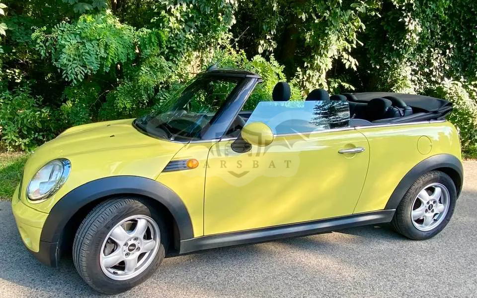 Mini Cooper Standard 2010