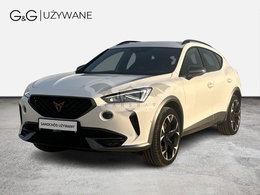 Cupra Formentor 2.0 TSI 4Drive VZ DSG 2020