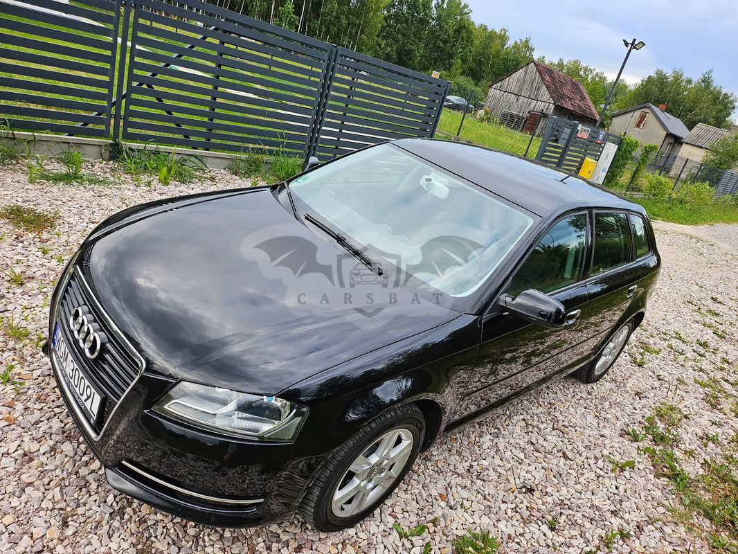Audi A3 8P 1.6 Attraction 2010