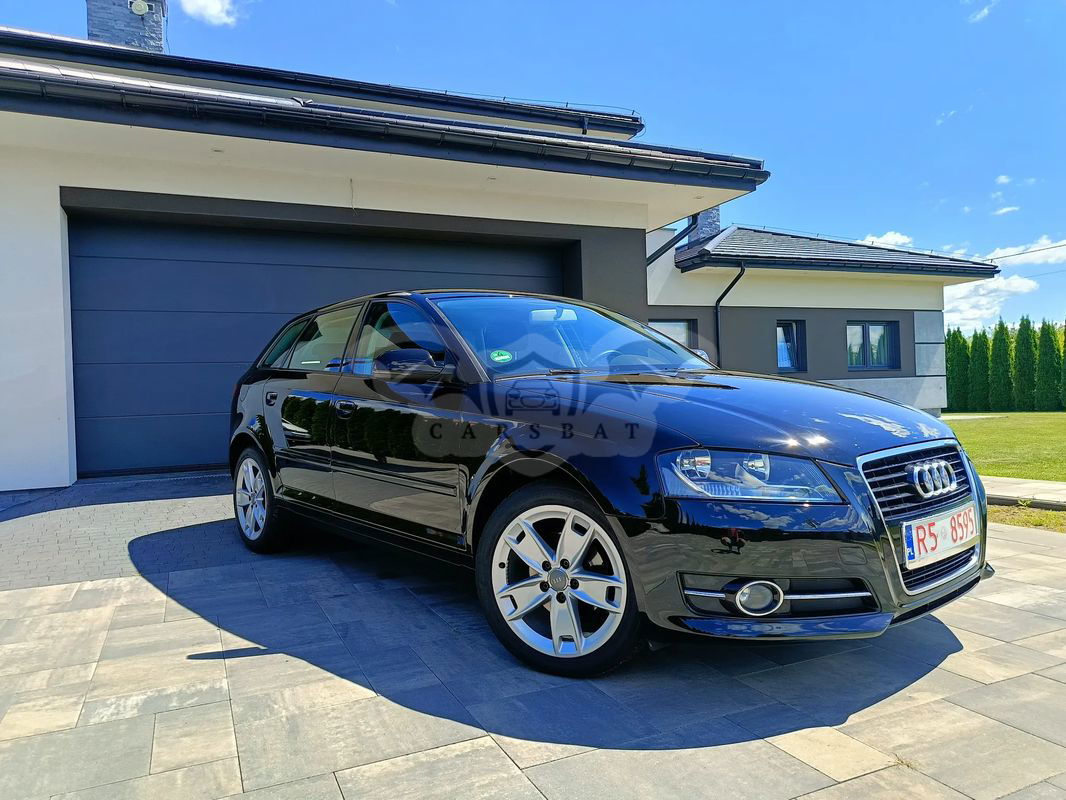 Audi A3 8P 1.6 Ambition 2010