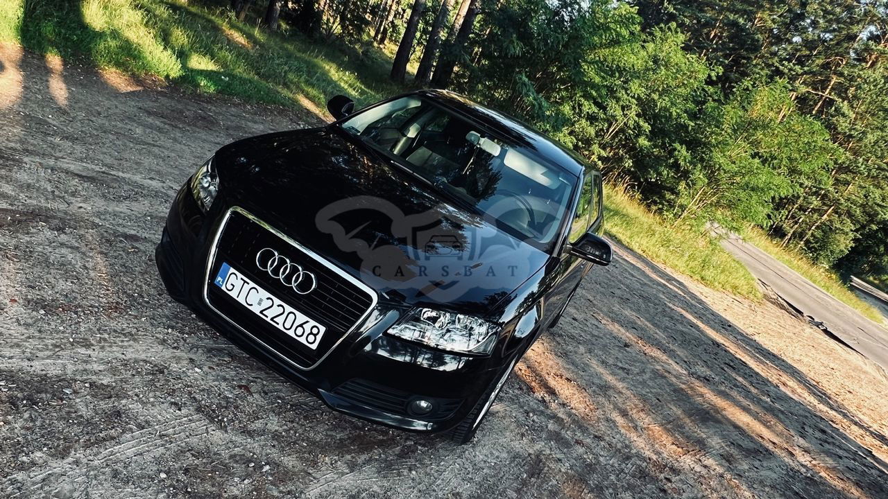 Audi A3 8P 1.6 TDI DPF Ambition 2009