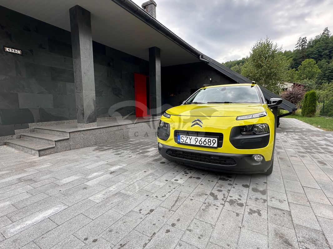 Citroën C4 Cactus 1.6 Blue HDi Shine ETG 2015