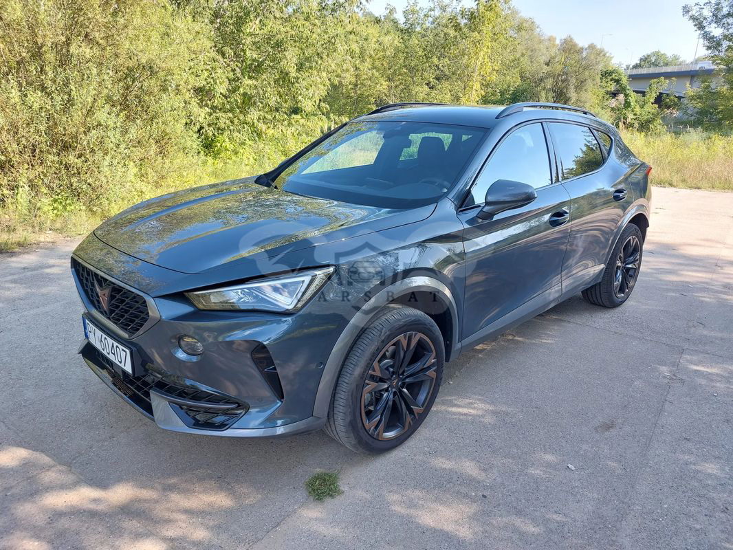 Cupra Formentor 2.0 TSI 4Drive DSG 2023