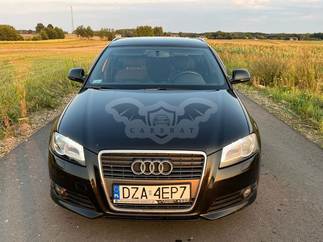 Audi A3 8P 2.0 TDI DPF Ambition 2010