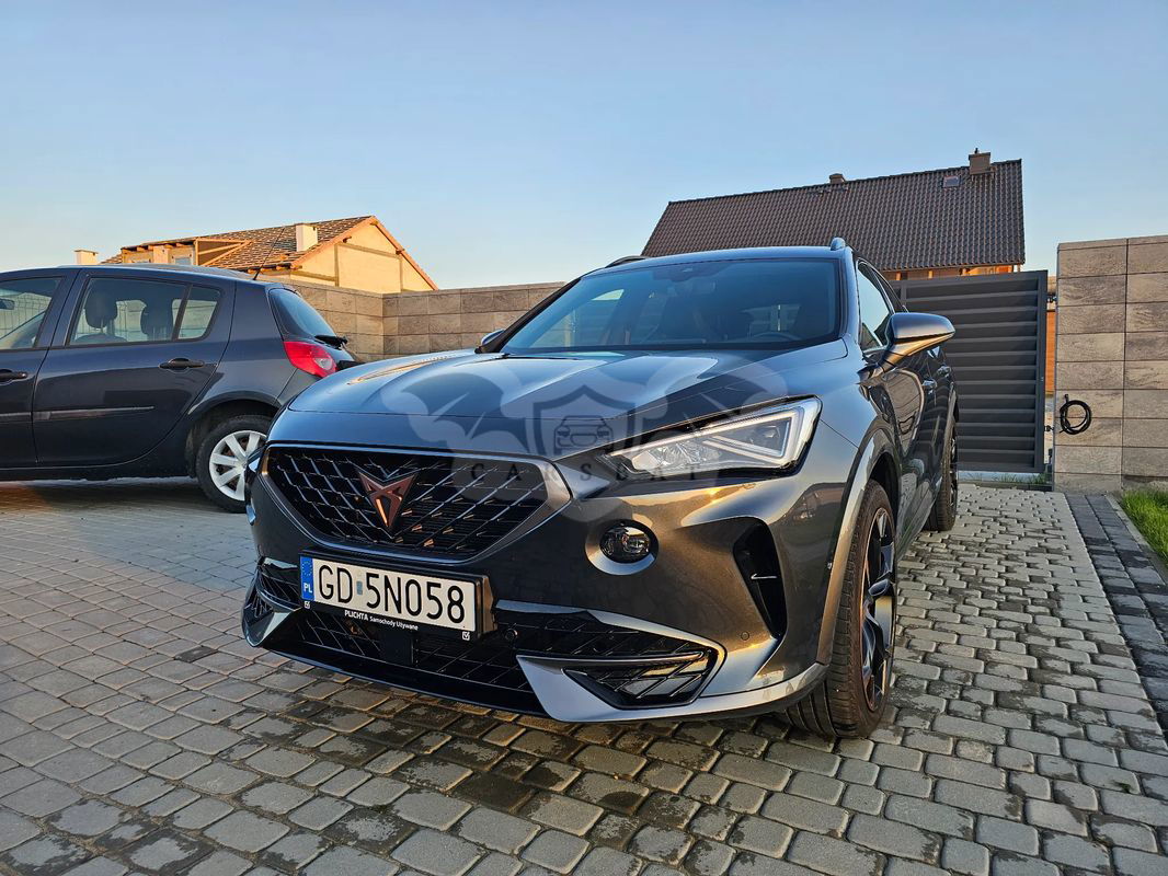 Cupra Formentor 2.0 TSI 4Drive VZ DSG 2020