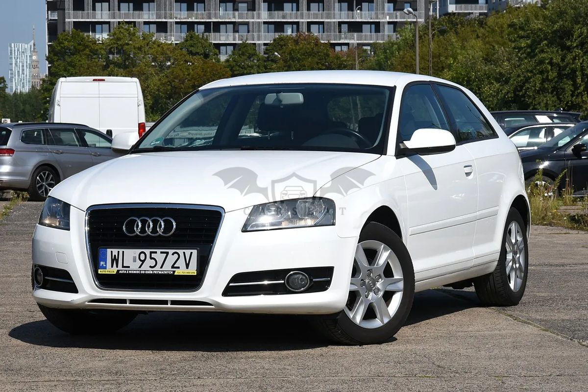 Audi A3 8P 1.6 Ambition 2010