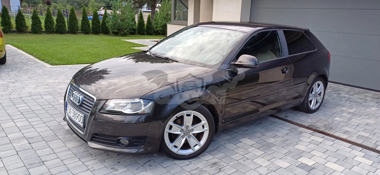 Audi A3 8P 2.0 TDI DPF Ambition 2010