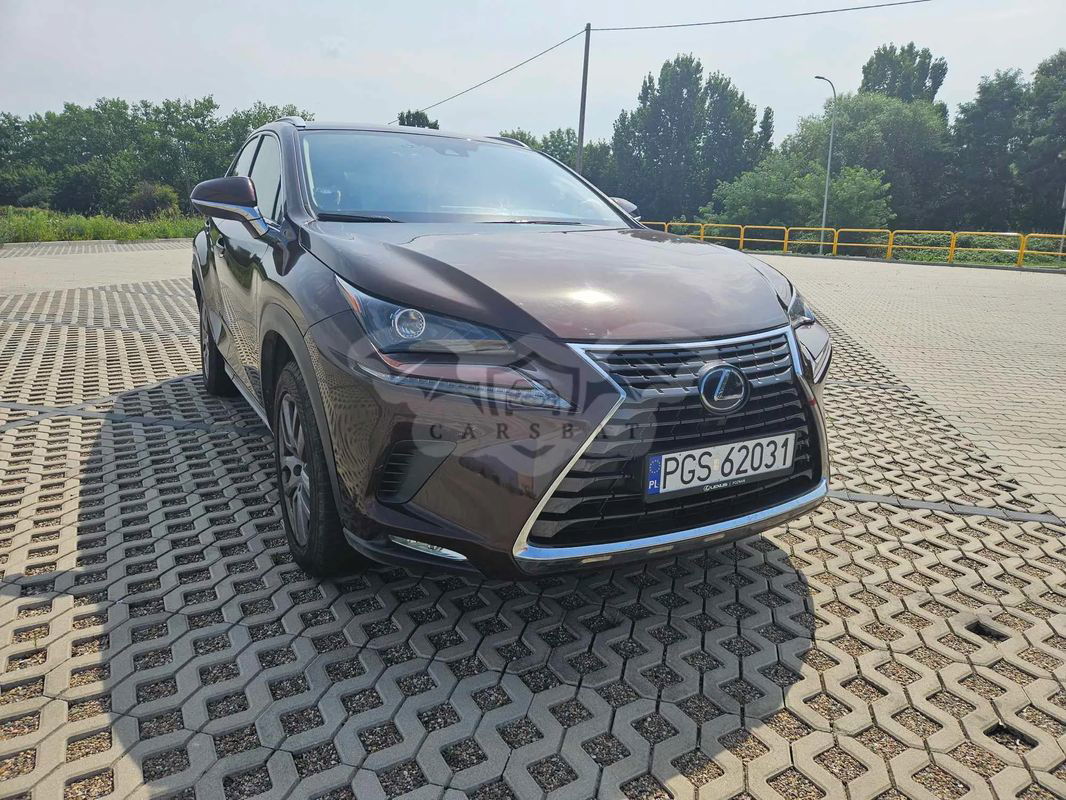 Lexus NX I 300h Elegance AWD 2020