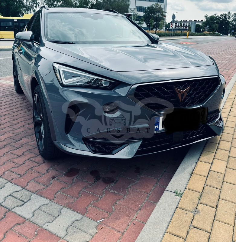 Cupra Formentor 2.0 TSI 4Drive DSG 2022