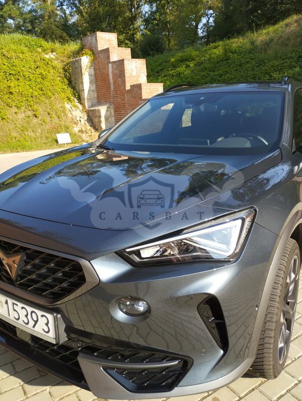 Cupra Formentor 2.0 TSI 4Drive DSG 2023
