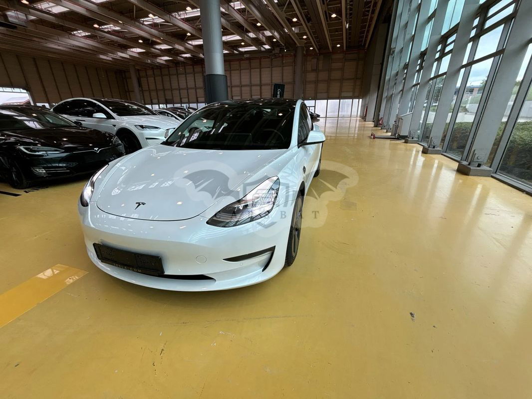Tesla Model 3 Long Range AWD 2021