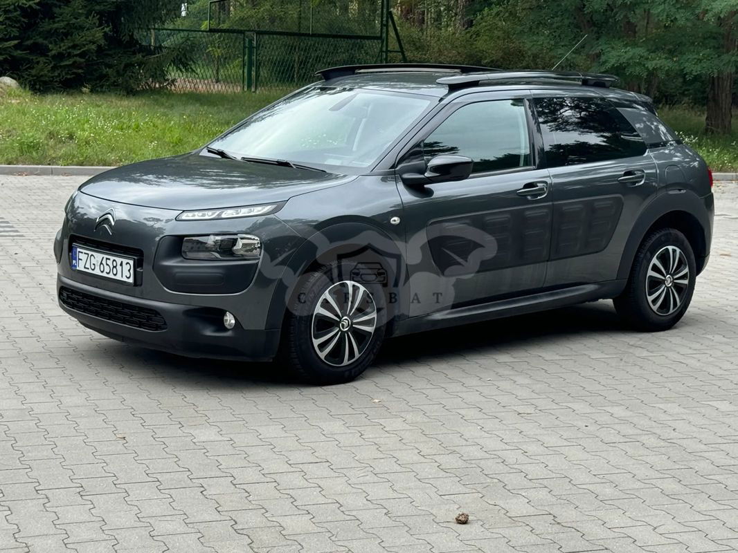 Citroën C4 Cactus 1.6 Blue HDi Shine 2015