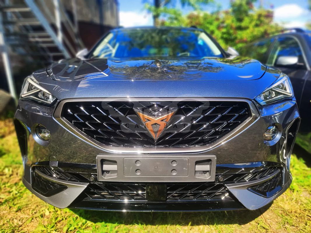 Cupra Formentor 1.5 TSI DSG 2023