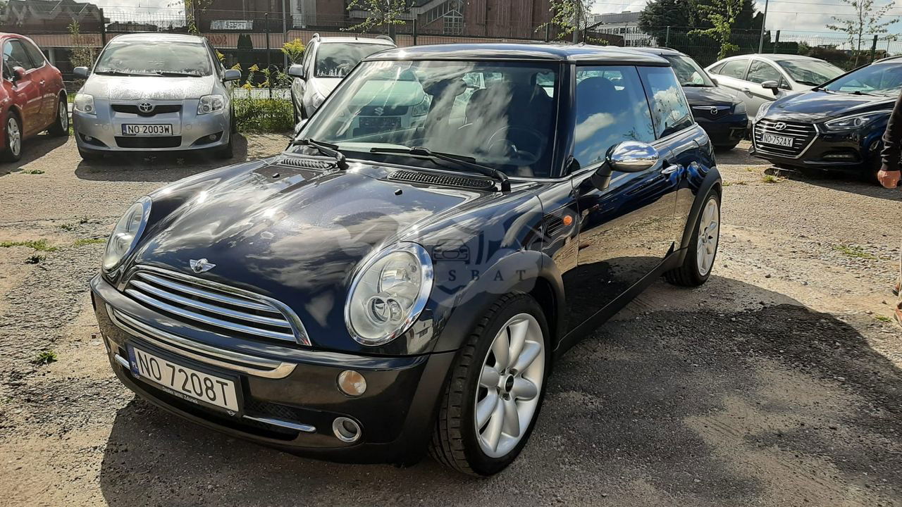 Mini One salt 2004