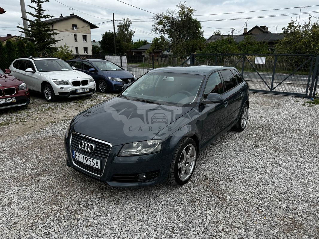 Audi A3 8P 1.6 Ambition 2009