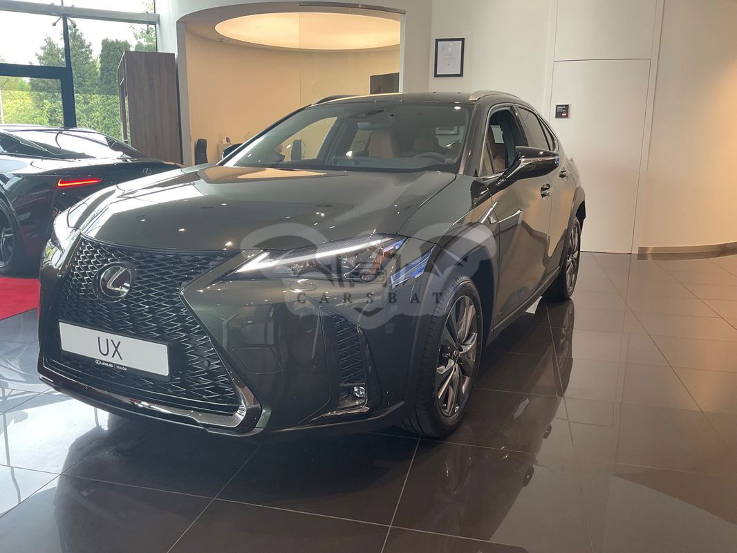 Lexus UX 300h F Sport Design AWD 2024