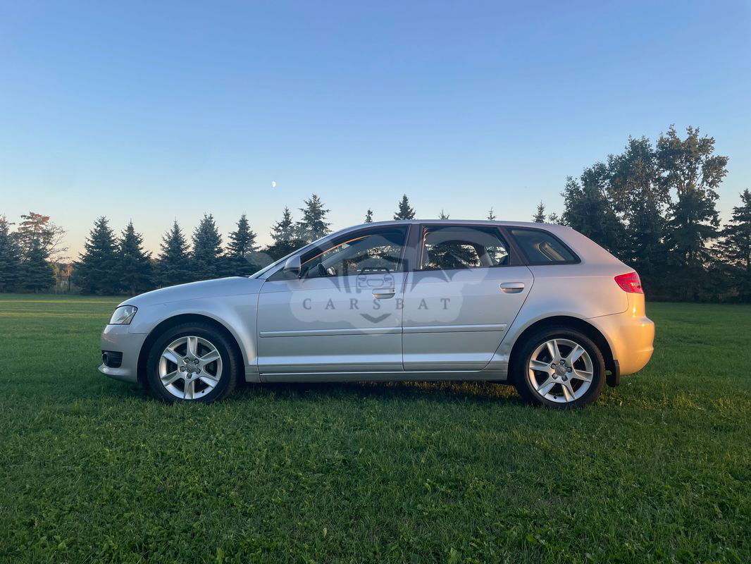 Audi A3 8P 2010
