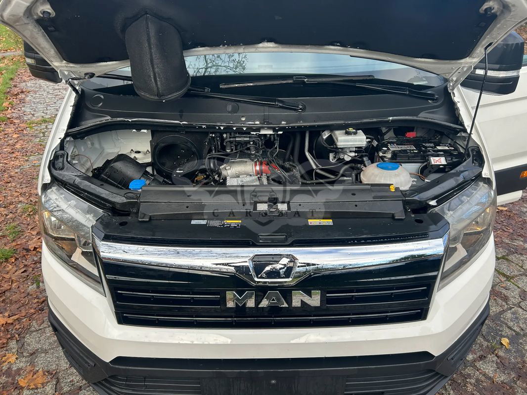 MAN TGE 2019