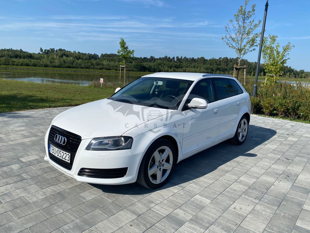 Audi A3 8P 2.0 TDI DPF Ambition 2010