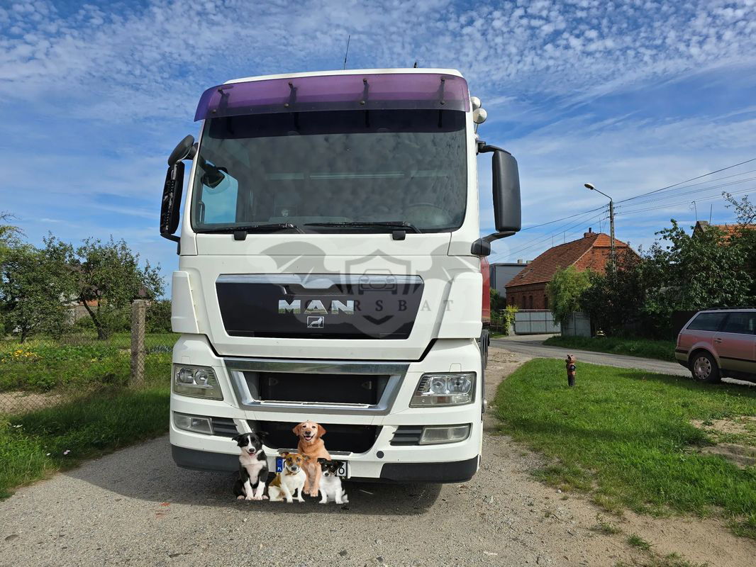 MAN TGX 2010