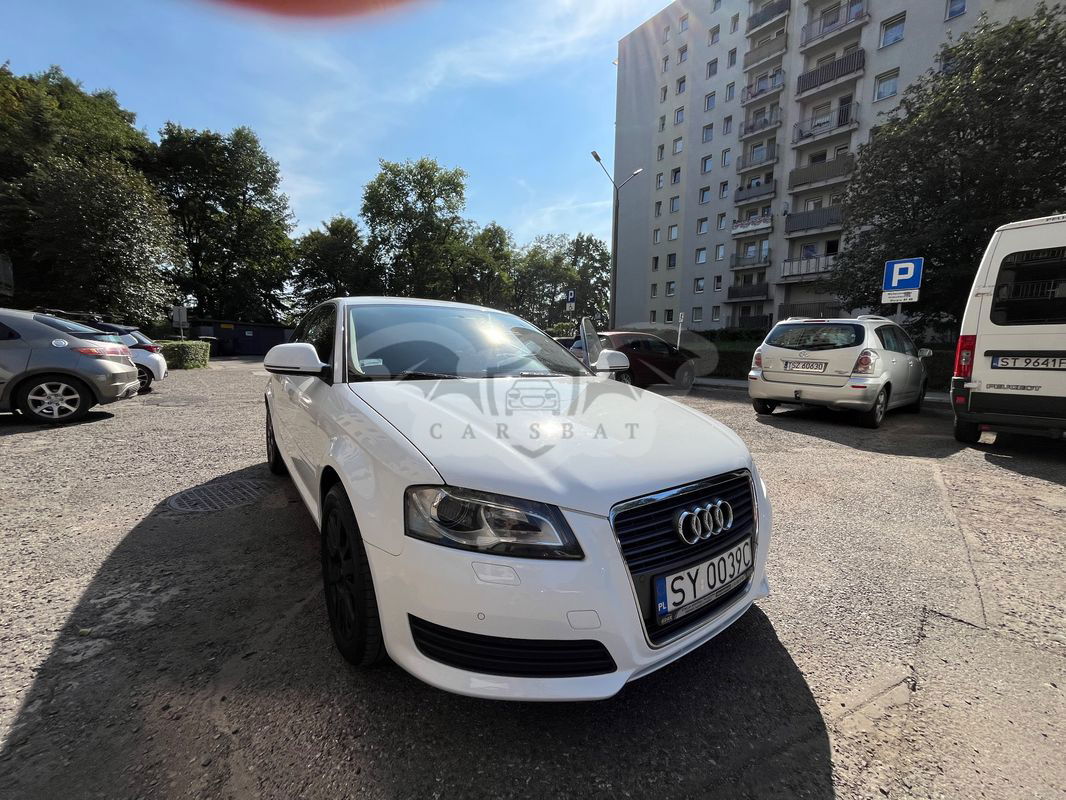 Audi A3 8P 1.6 TDI DPF Ambition 2009