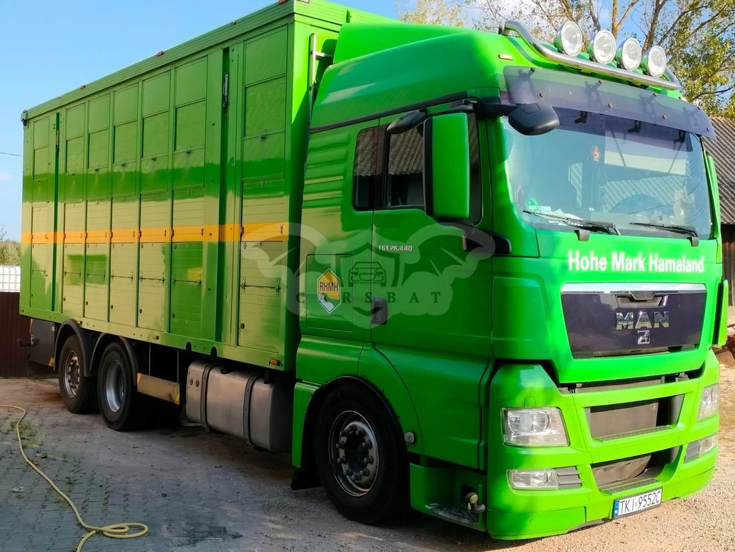 MAN TGX 2010