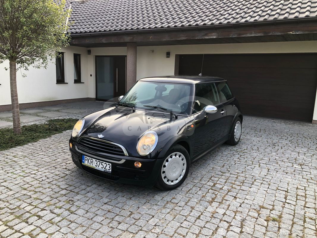 Mini One D salt 2005