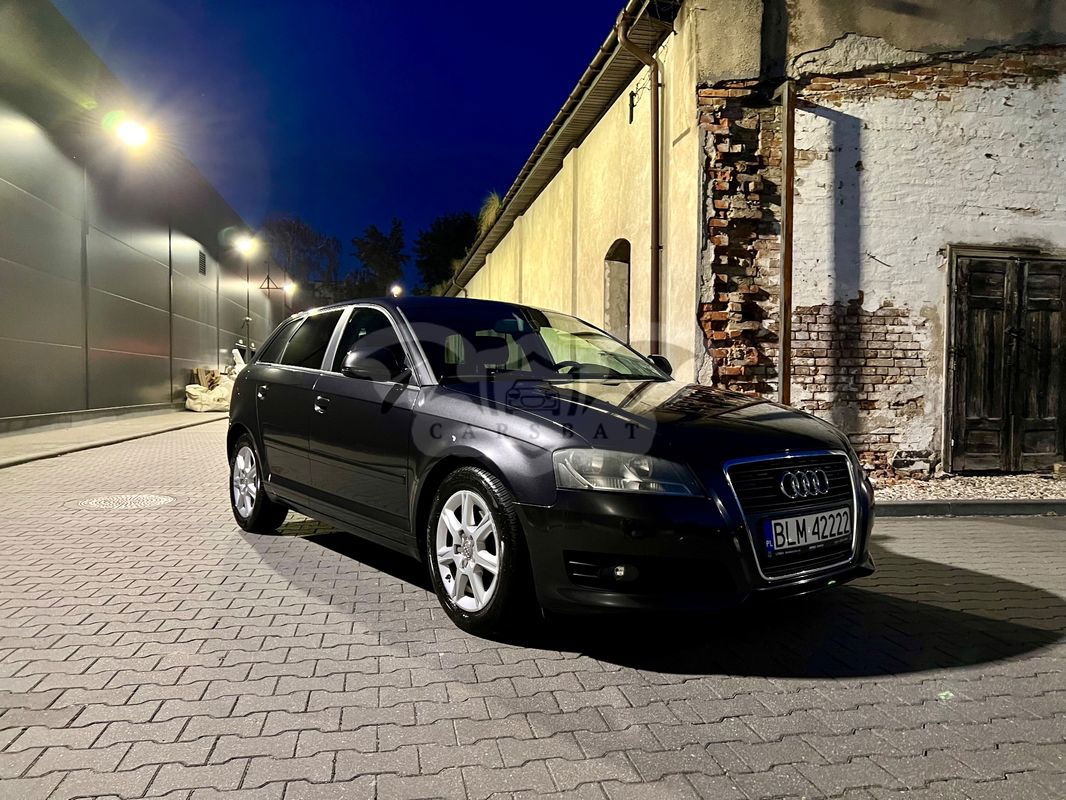 Audi A3 8P 2010