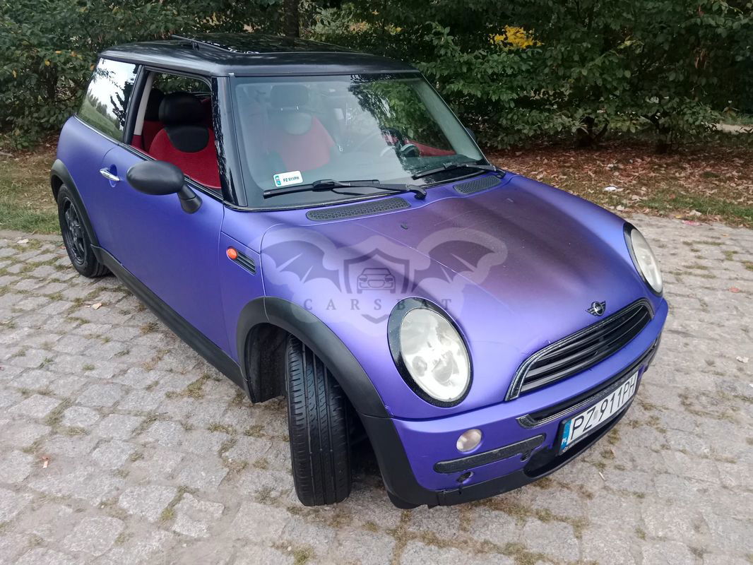 Mini One D salt 2003