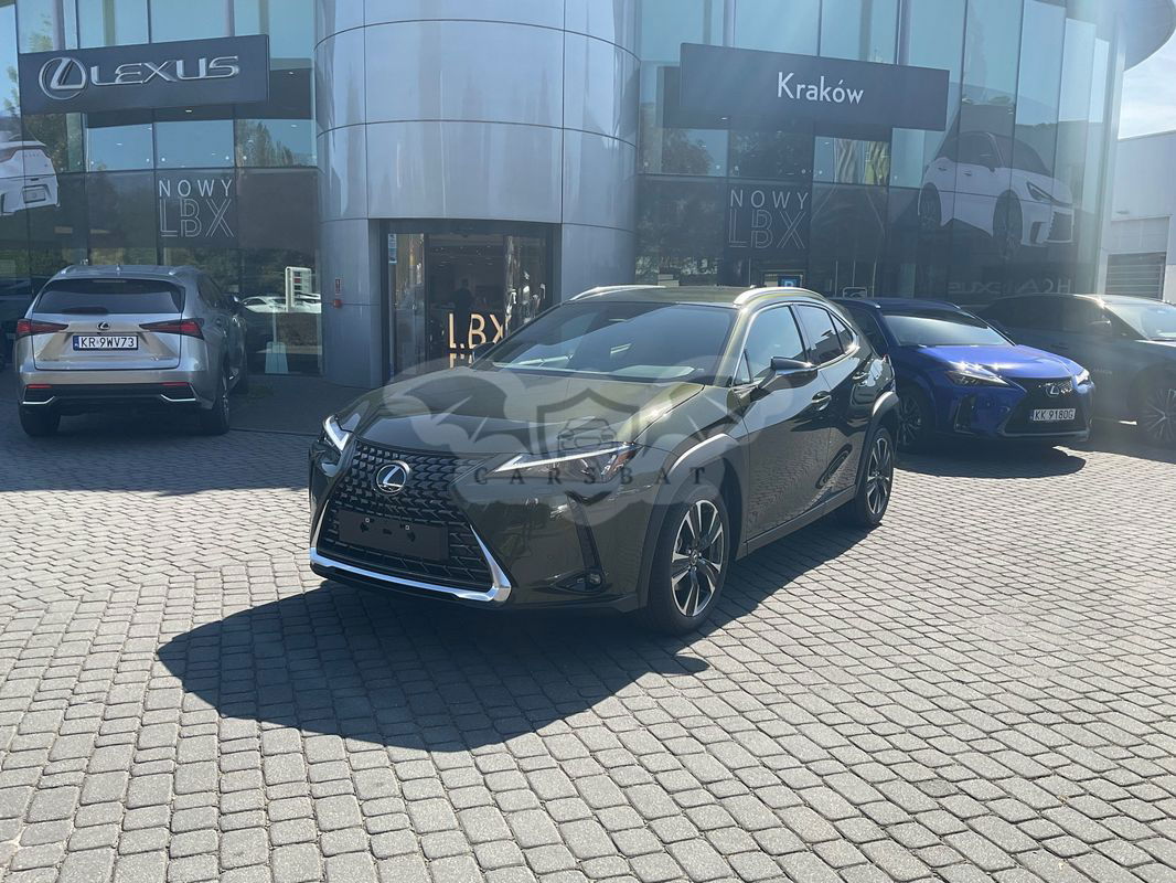 Lexus UX 300h Prestige AWD 2024