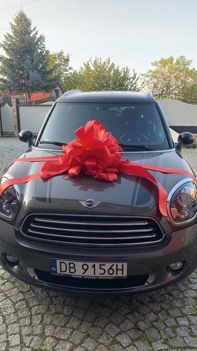 Mini Countryman Cooper D 2013
