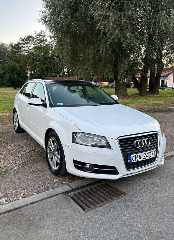 Audi A3 8P 2010