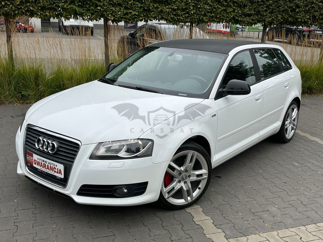 Audi A3 8P 2.0 TFSI Sportback S line Sportpaket 2009