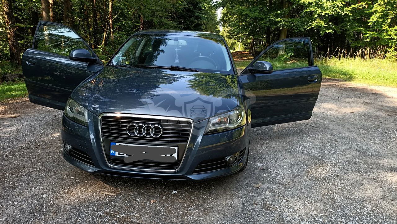 Audi A3 8P 1.6 TDI DPF Ambiente 2009