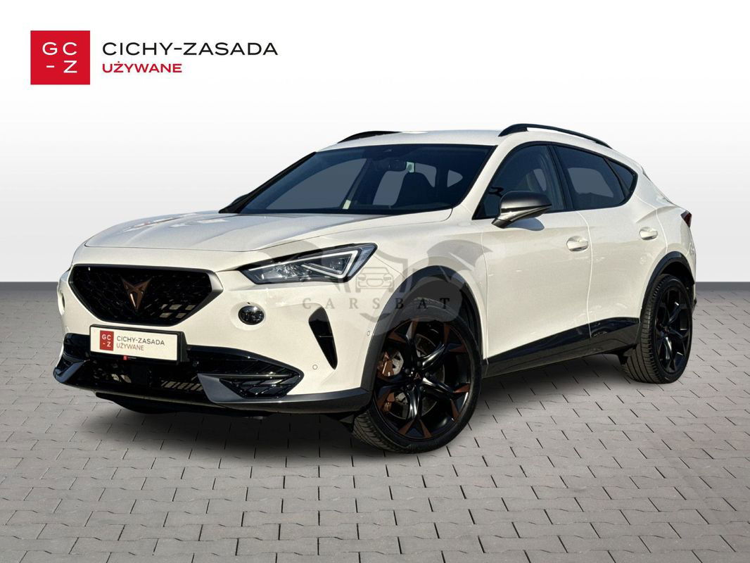 Cupra Formentor 2.0 TSI 4Drive VZ DSG 2020
