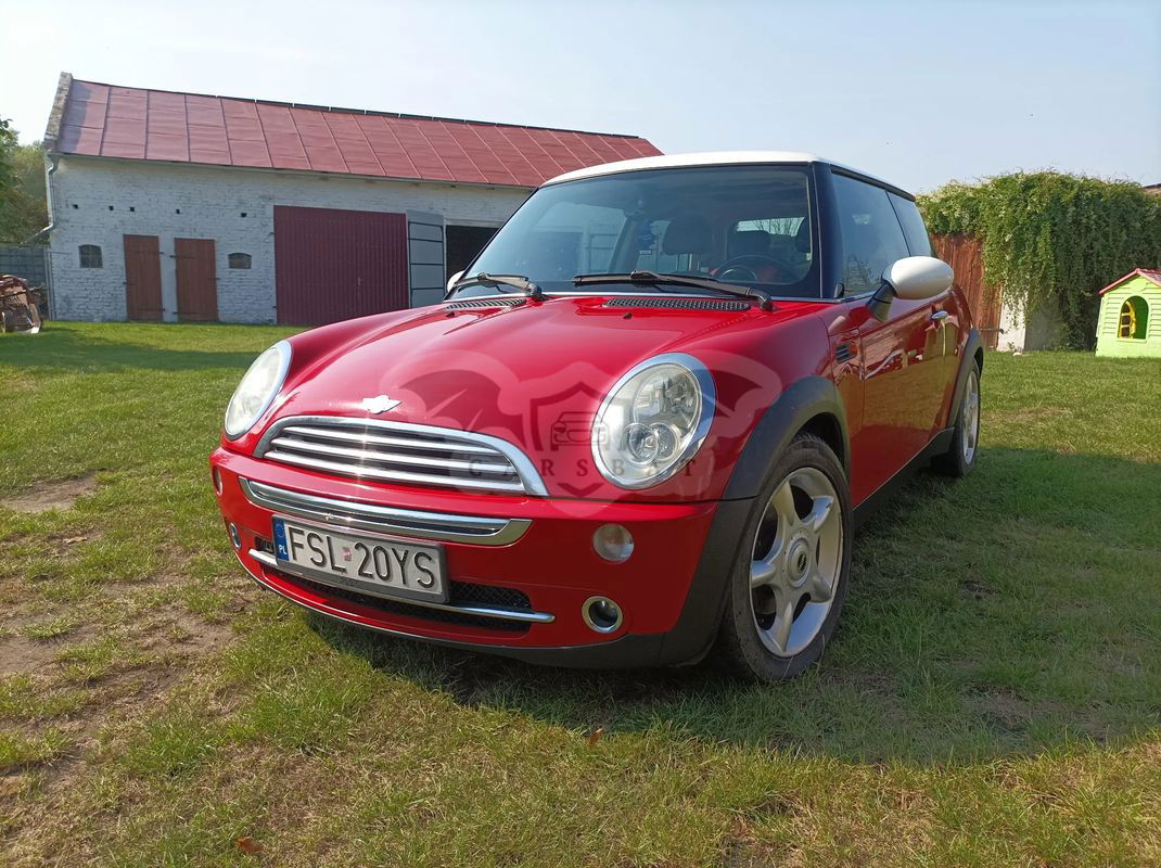 Mini Cooper pepper 2005