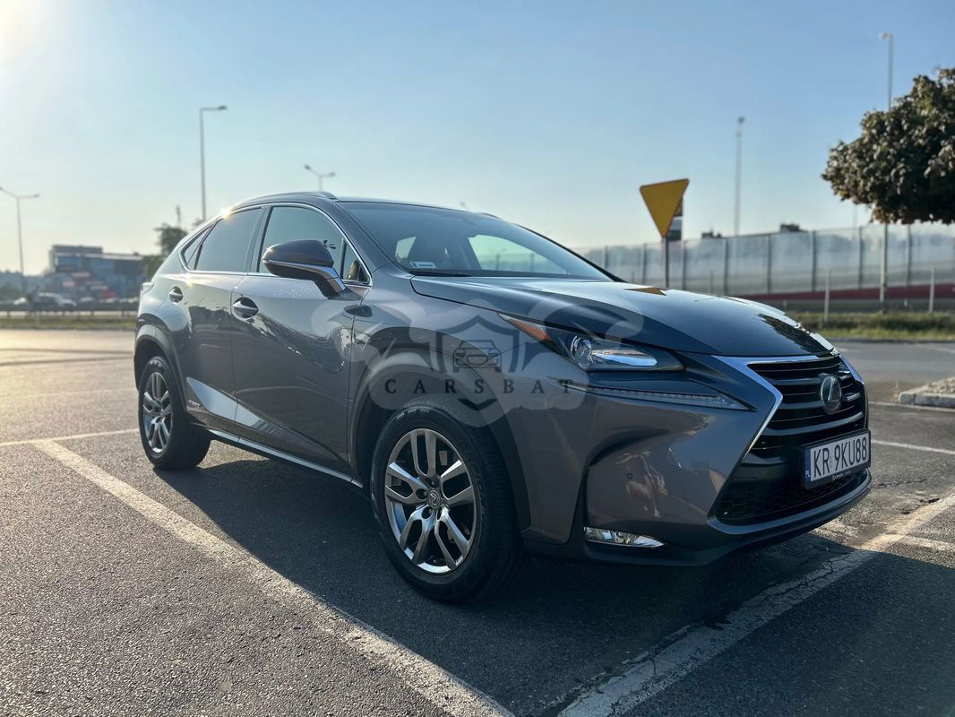 Lexus NX I 300h Comfort AWD 2014