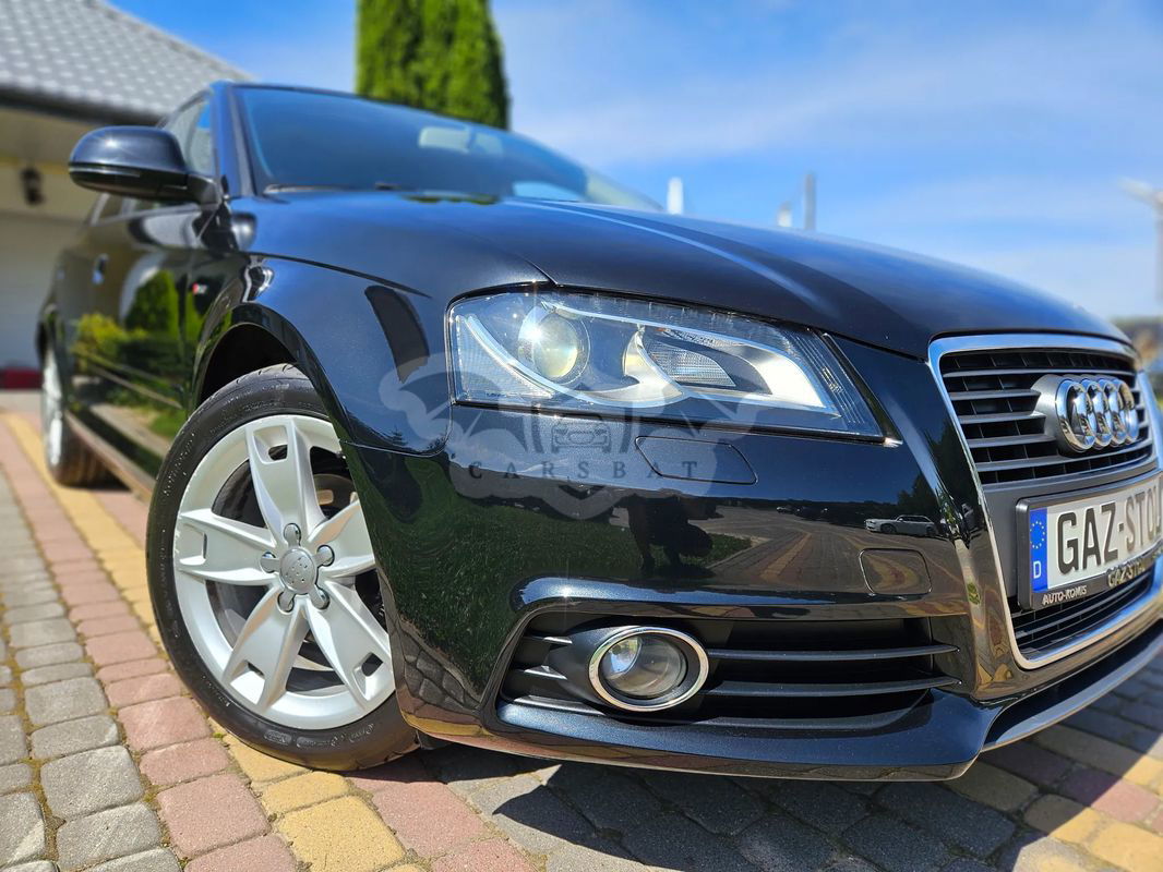 Audi A3 8P 1.6 Sportback S tronic S line Sportpaket (plus) 2009