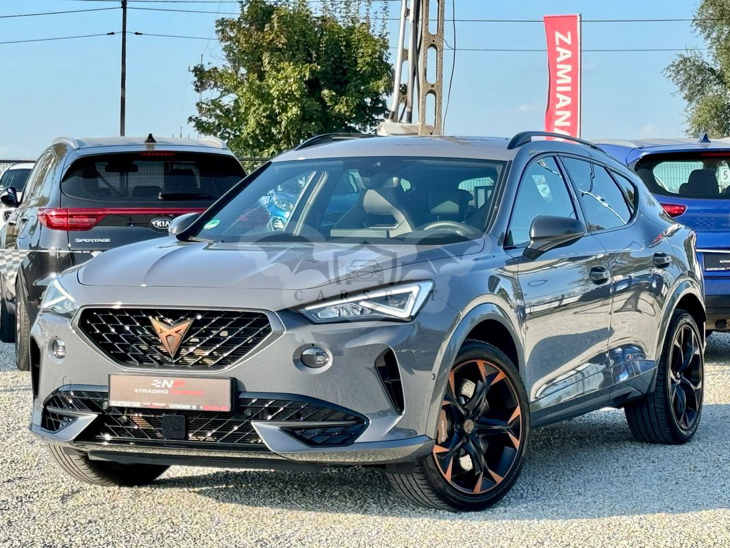 Cupra Formentor 2.0 TSI 4Drive VZ DSG 2020