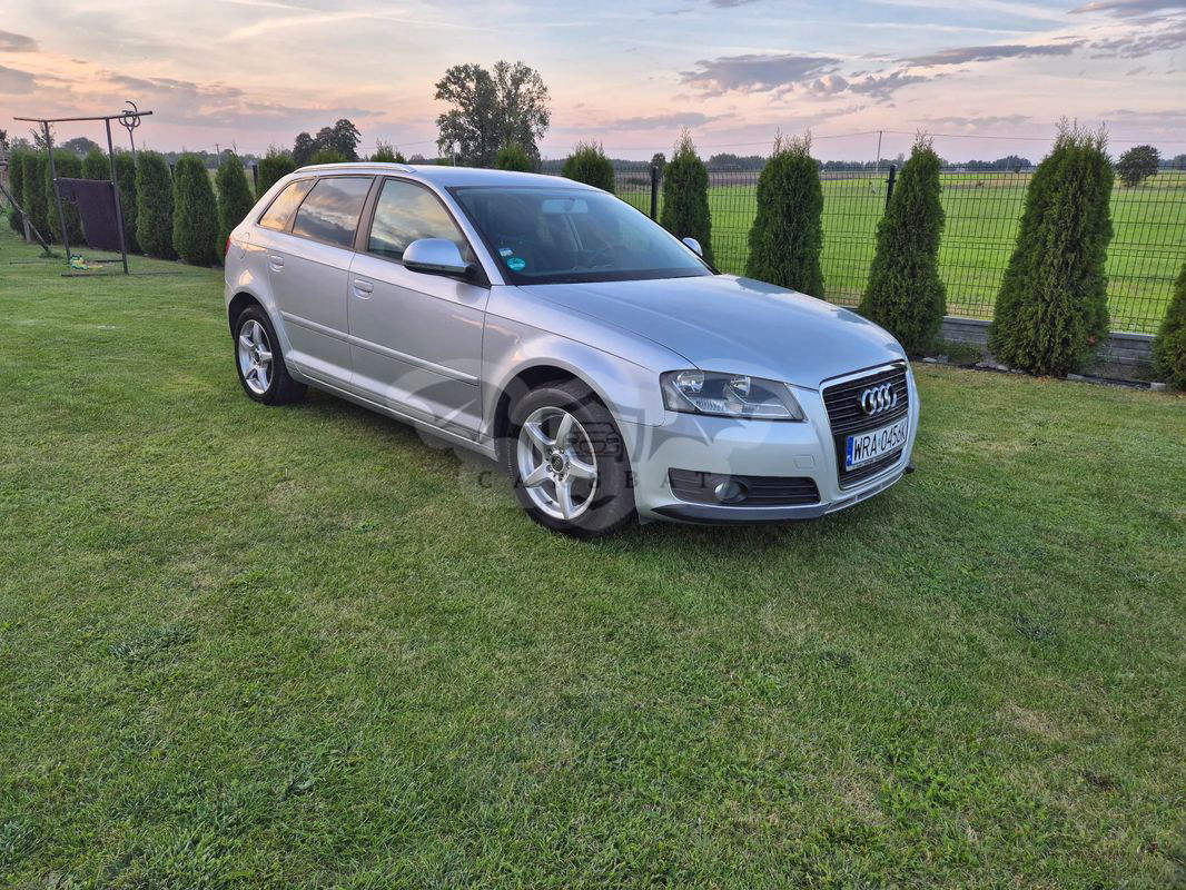 Audi A3 8P 1.6 Sportback Ambition 2010