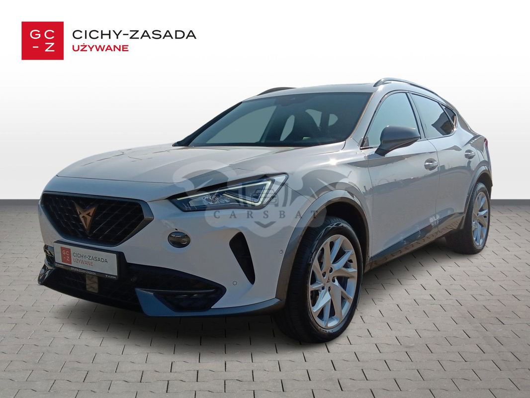 Cupra Formentor 2.0 TSI 4Drive DSG 2023