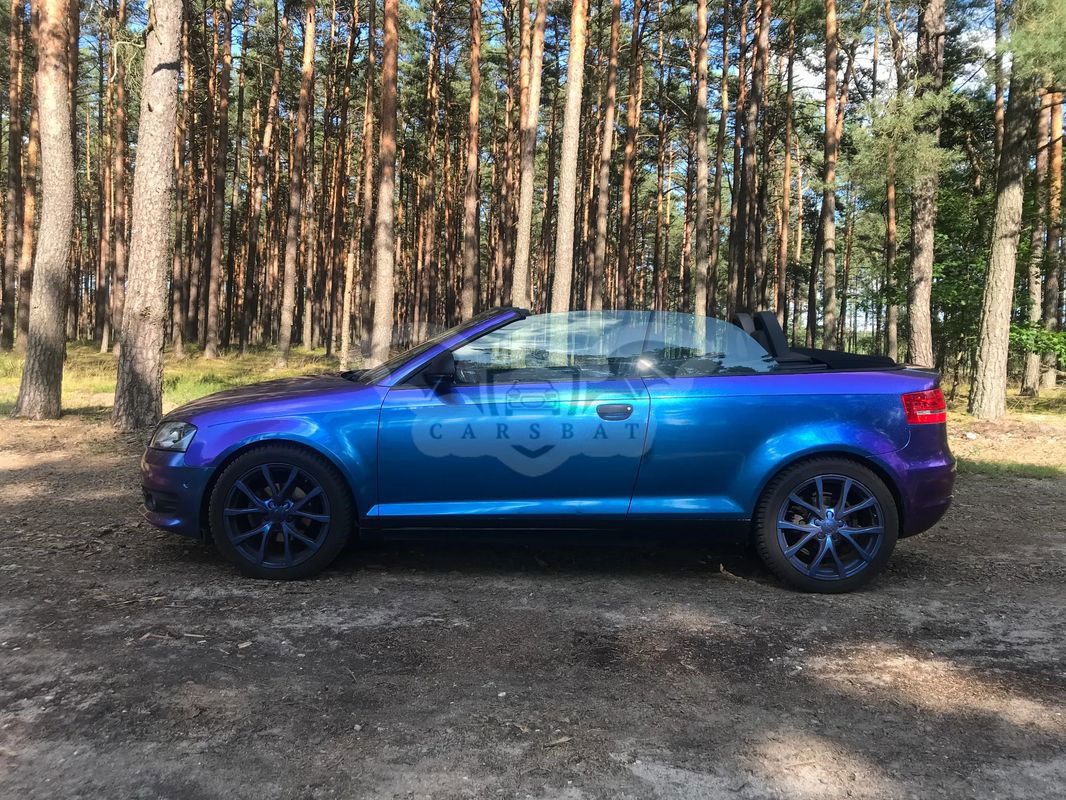 Audi A3 8P Cabriolet 2.0 TDI DPF Attraction 2009
