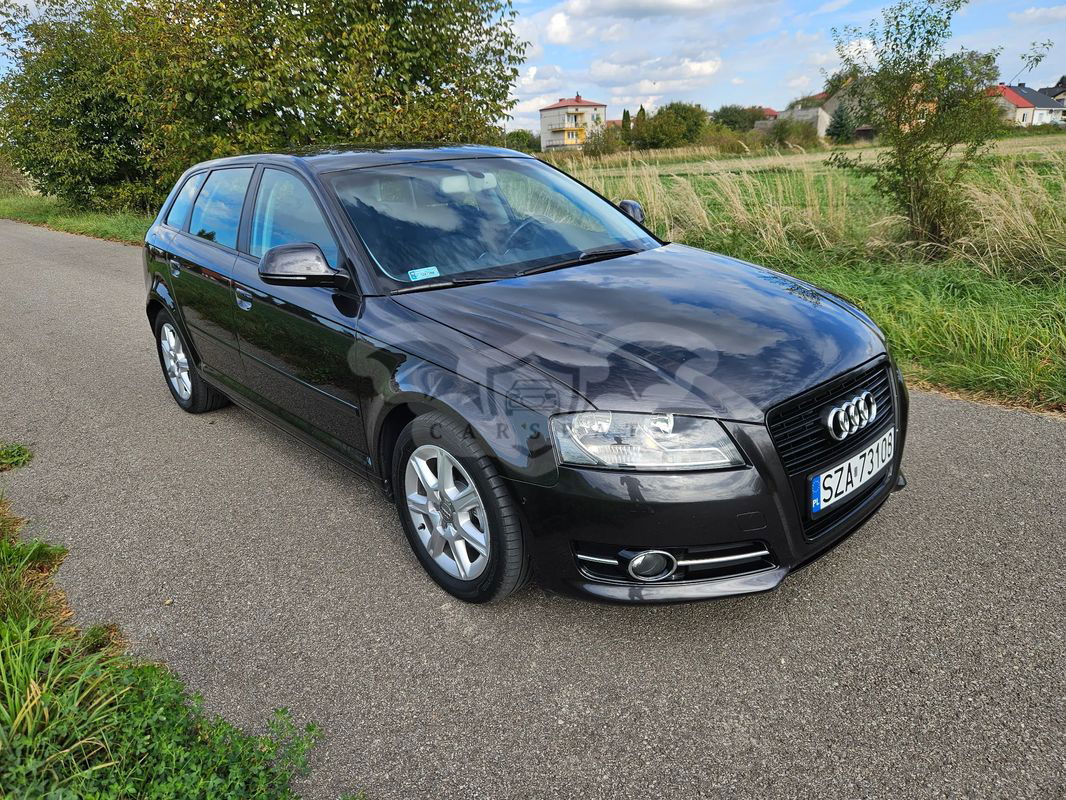 Audi A3 8P 2.0 TDI DPF Attraction 2010
