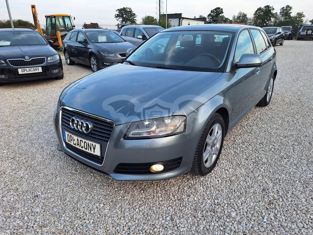 Audi A3 8P 1.6 Ambiente 2009