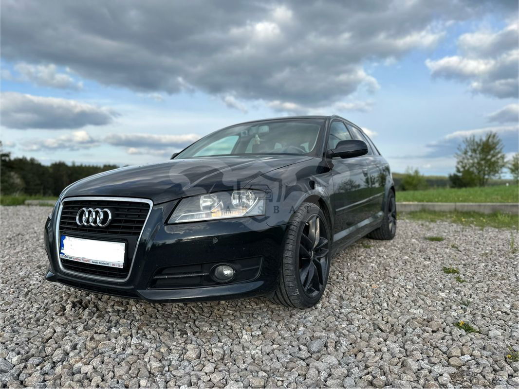 Audi A3 8P 1.6 TDI DPF Ambition 2010