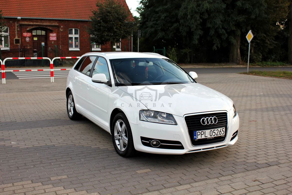 Audi A3 8P 2.0 TDI DPF Attraction 2010
