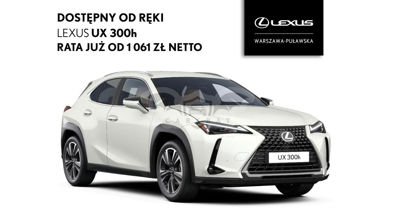 Lexus UX 300h Business 2024