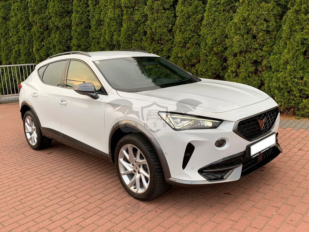 Cupra Formentor 2.0 TDI 4Drive DSG 2023