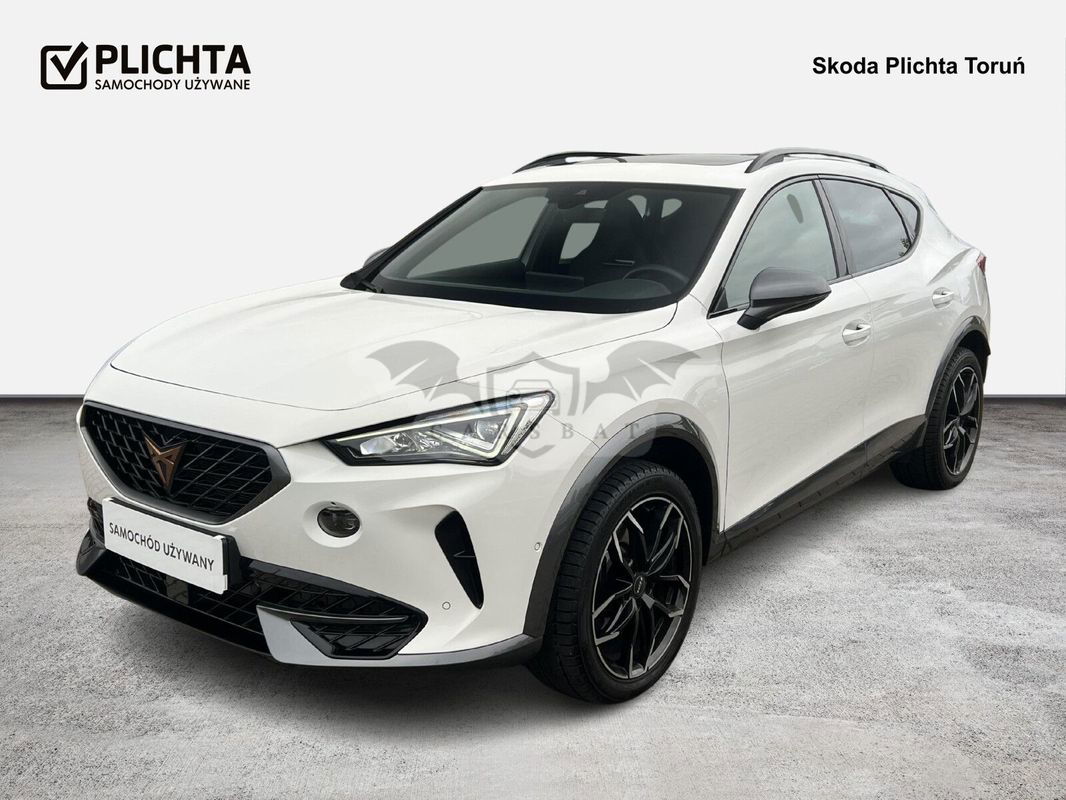 Cupra Formentor 2.0 TSI 4Drive VZ DSG 2020