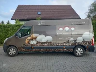 Renault Master III 2010